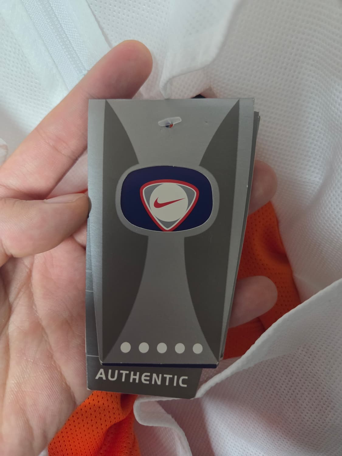 네덜란드 00/02 베르캄프 상품이미지7