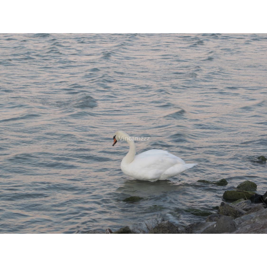 Canon 캐논 Powershot 파워샷 G7 디지털카메라 상품이미지5