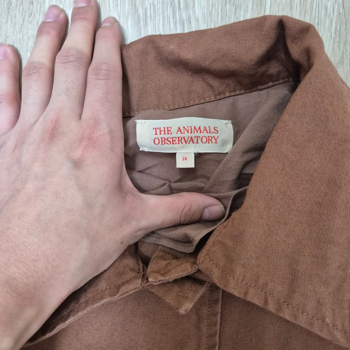 더애니멀스오브저토리 로고 싱글 트렌치코트 상품이미지5