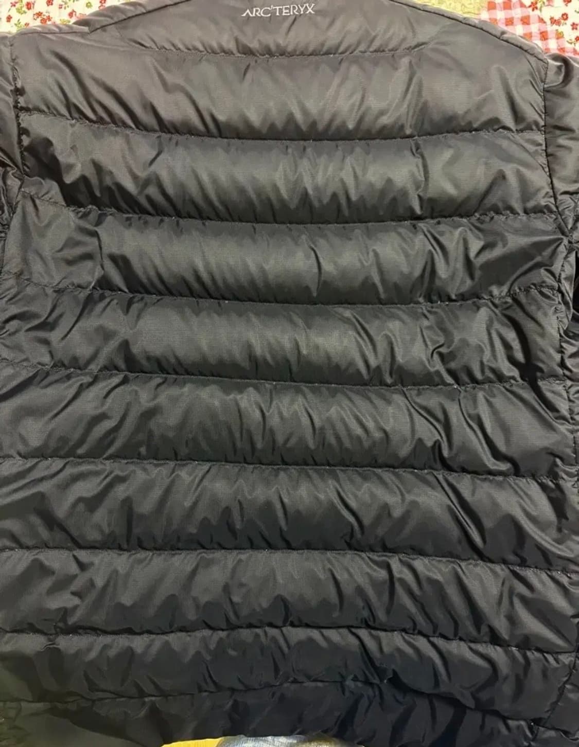 아크테릭스 토륨 상품이미지4