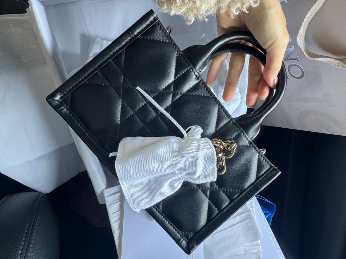 디올 북토트 미니 백 블랙 상품이미지4