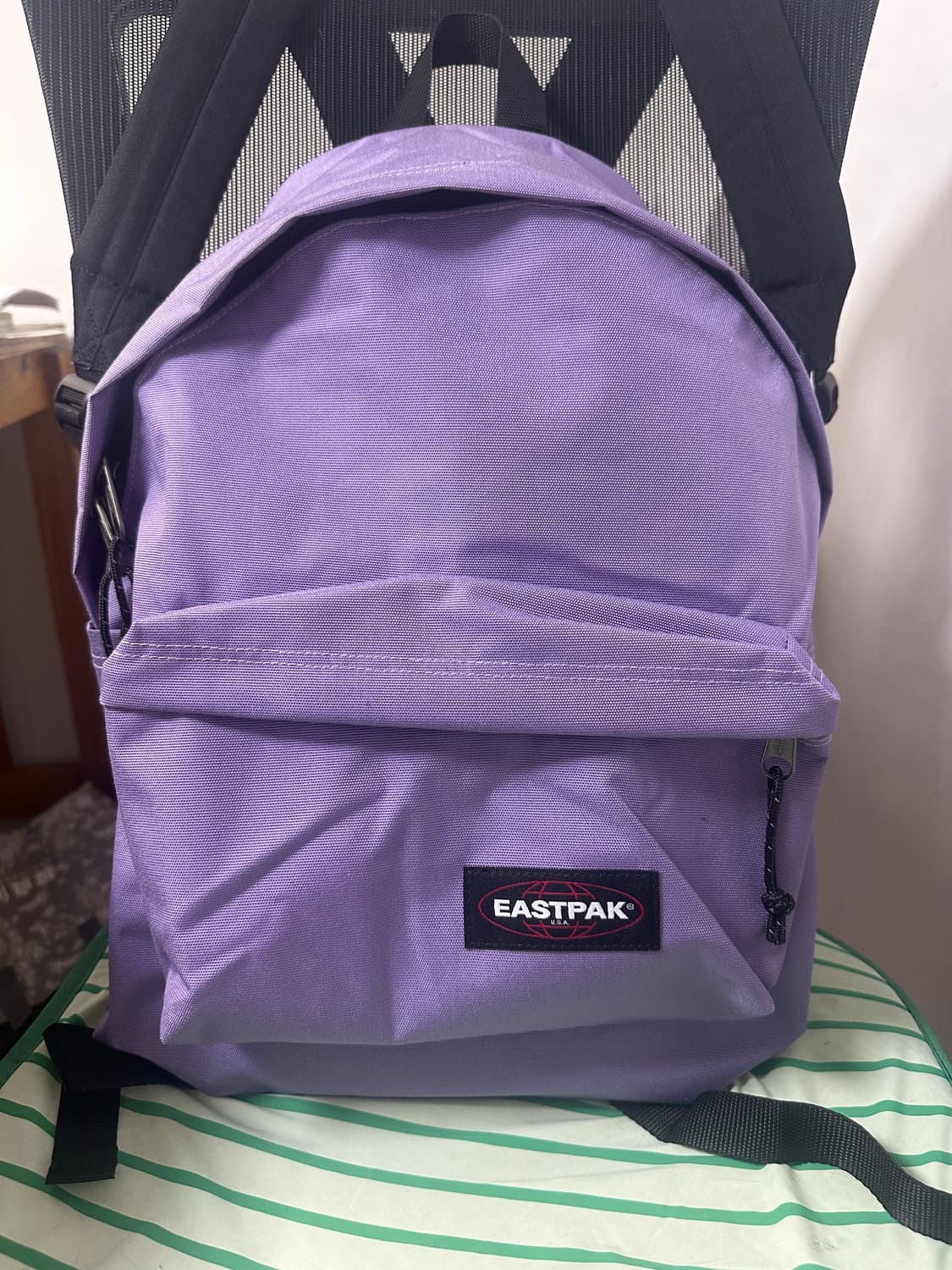 이스트팩 백팩 상품이미지2