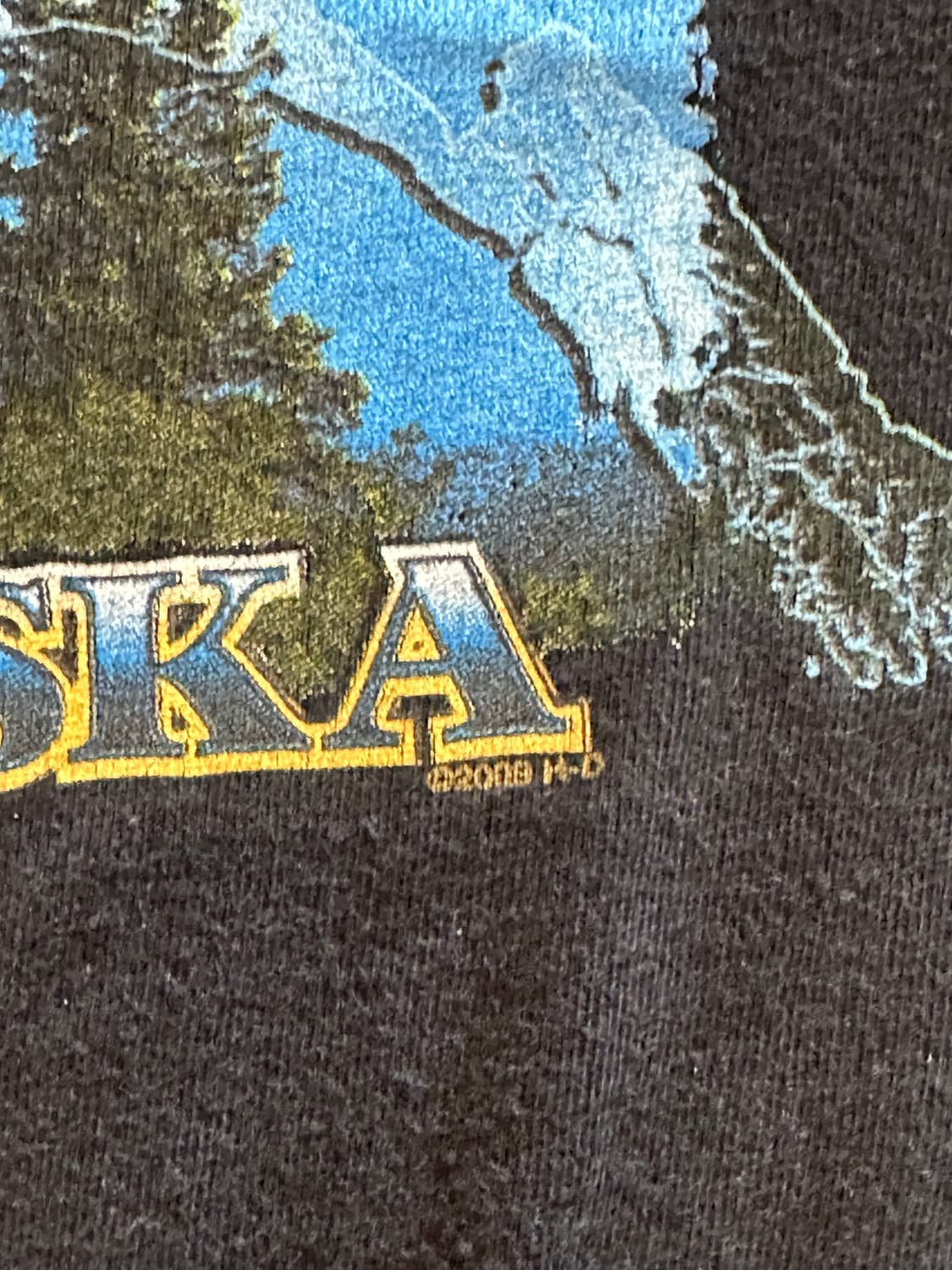  00s 할리데이비슨 "Twin Flame Eagle" - XL 상품이미지9