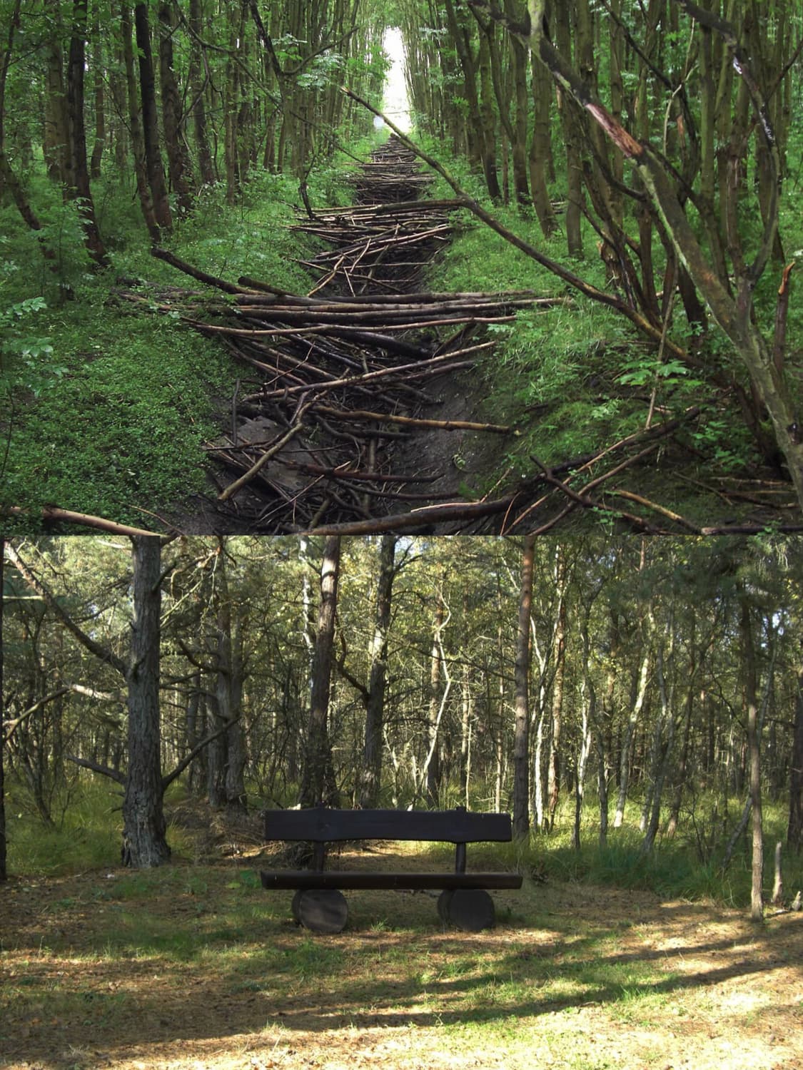 📸 카시오 EXILIM Z1200 빈티지 디지털카메라 판매 상품이미지3