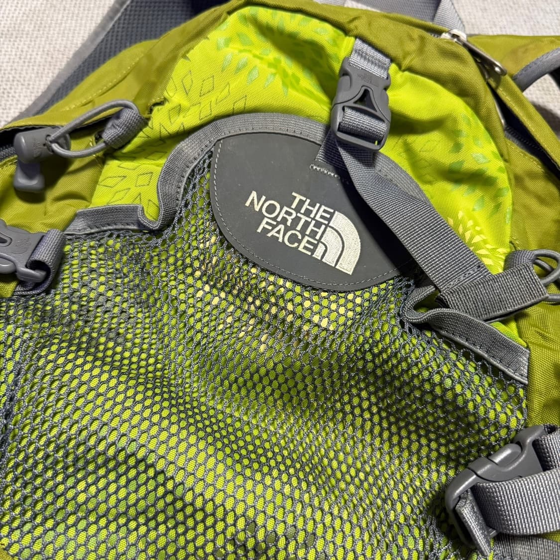 노스페이스 루시아 23L 백팩 상품이미지2