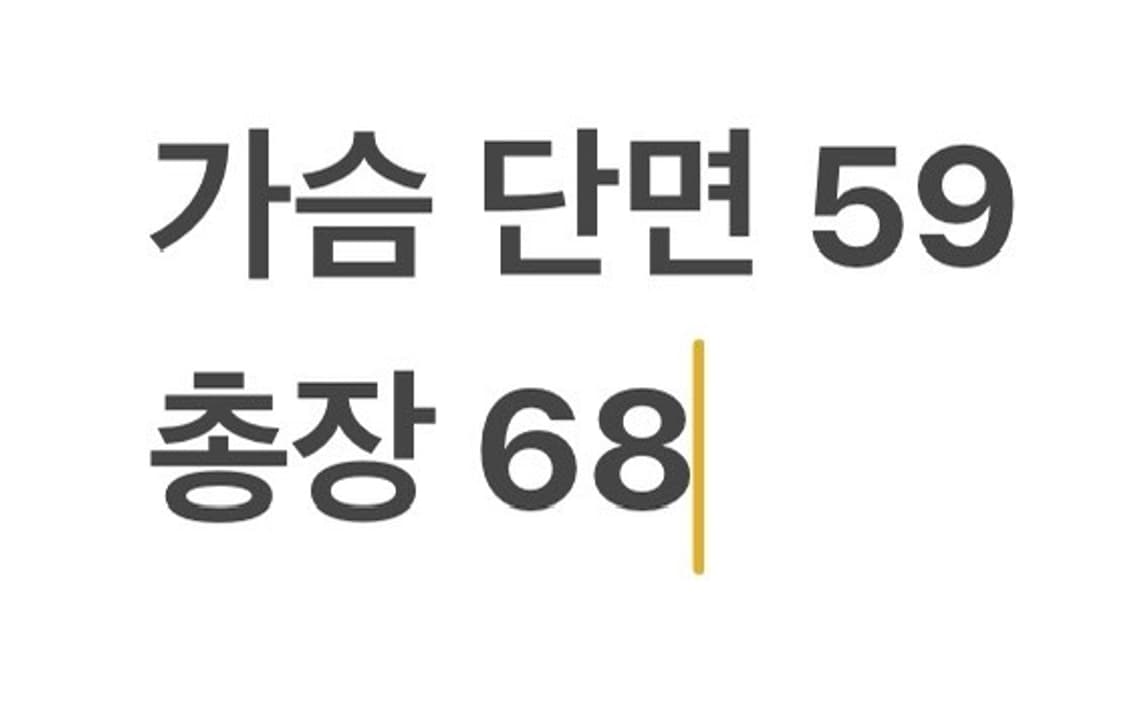 [정품/XL] 내셔널지오그래픽 덕다운 경량 패딩 자켓 b18 상품이미지10