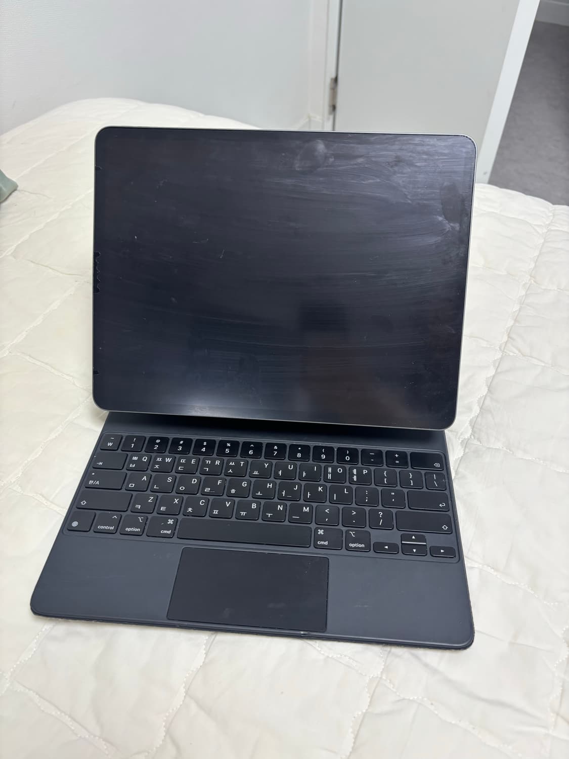 아이패드 4세대 12.9 512GB 상품이미지4