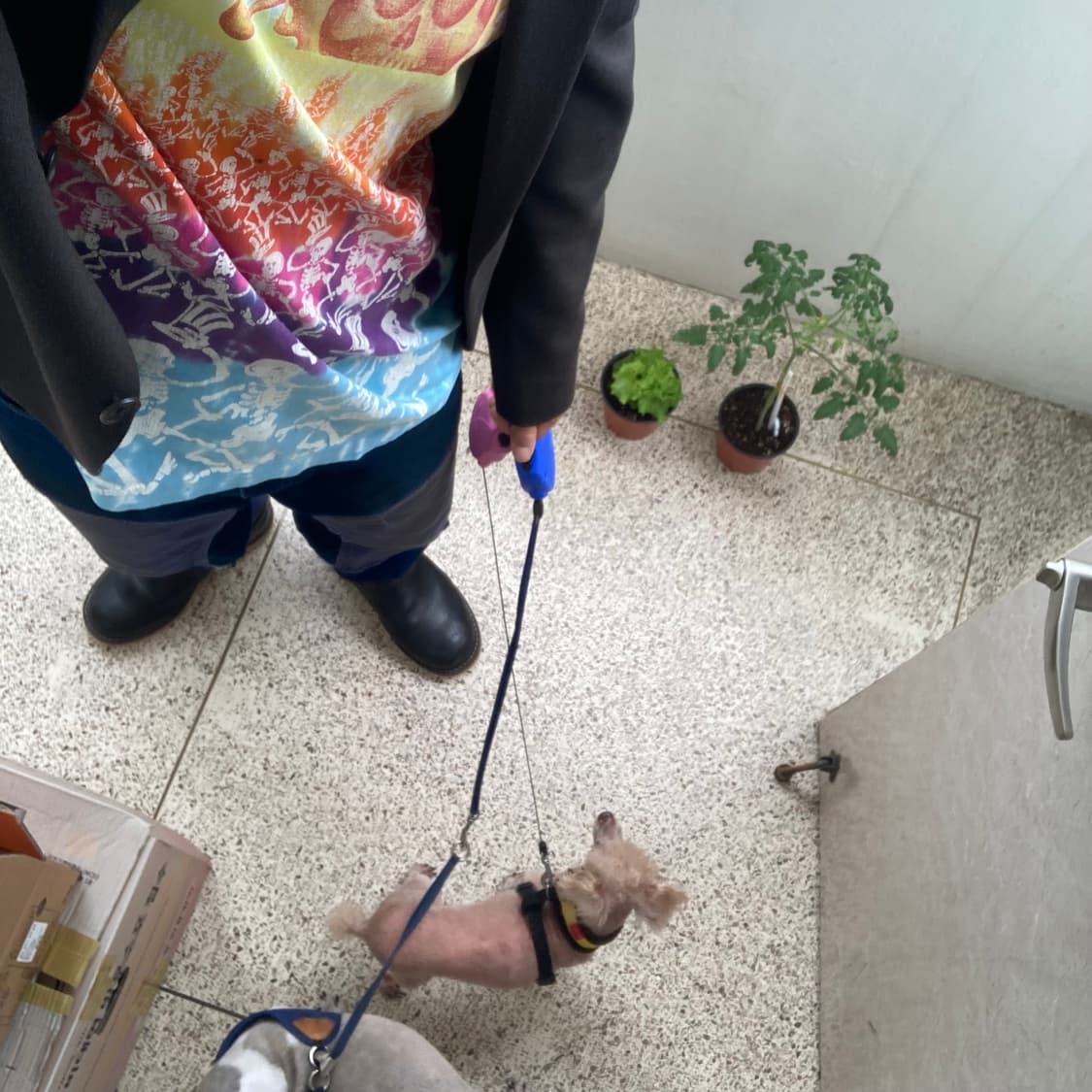 그레이트풀데드 타이다이 90s 밴드티 상품이미지1