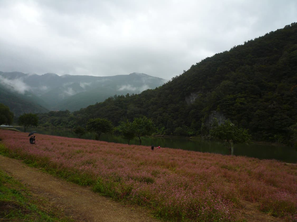 파나소닉 루믹스 dmc-fx07 디지털 카메라 상품이미지8