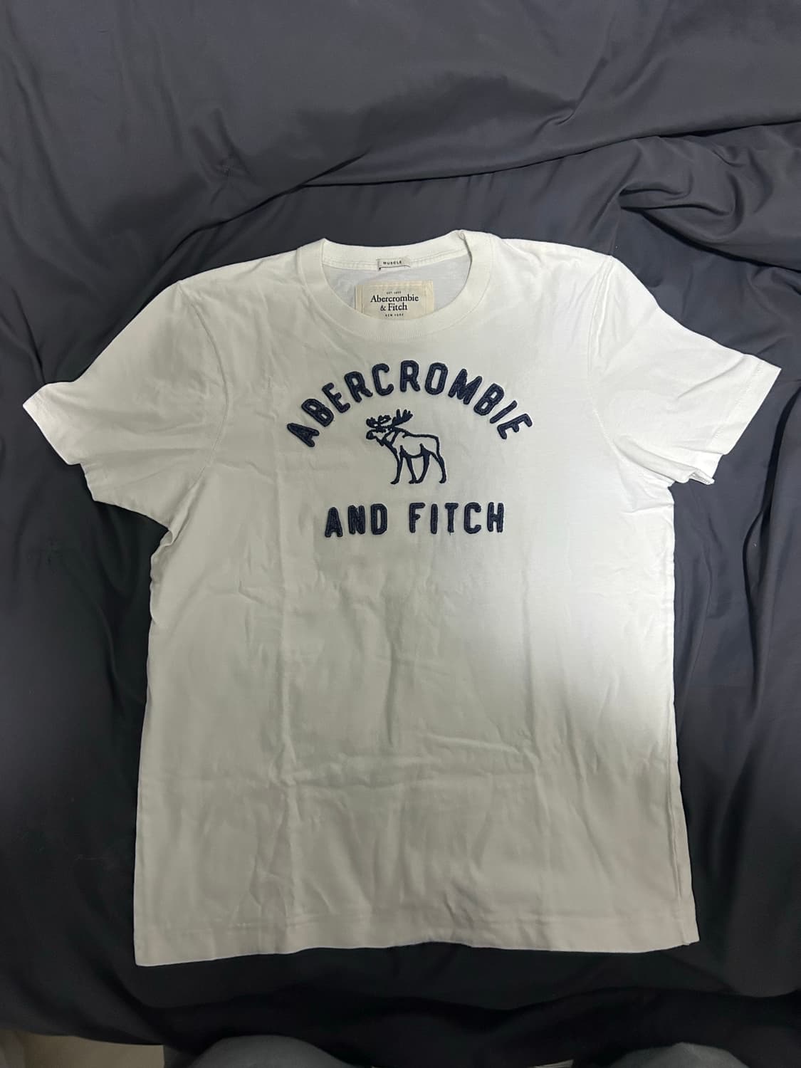 아베크롬비 반팔티 2XL 상품이미지1