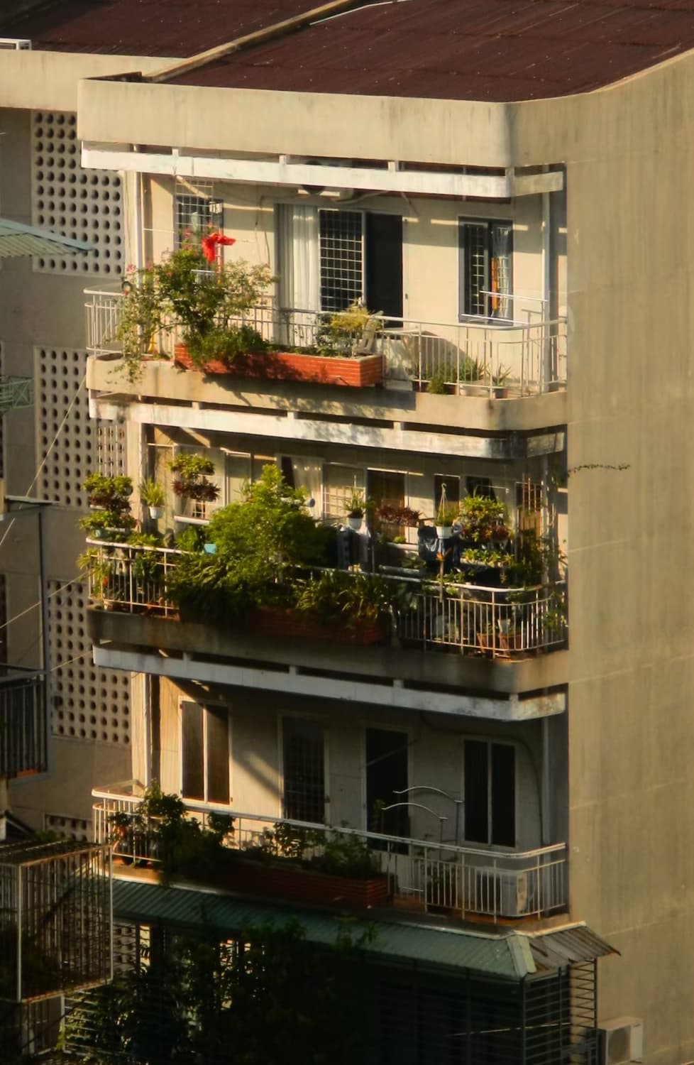 작례ㅇ 니콘 쿨픽스 aw100 카모 nikon coolpix aw100 상품이미지10