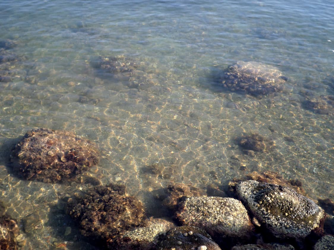 셀카) Samsung VLUU DV150F 삼성 한효주디카 상품이미지9