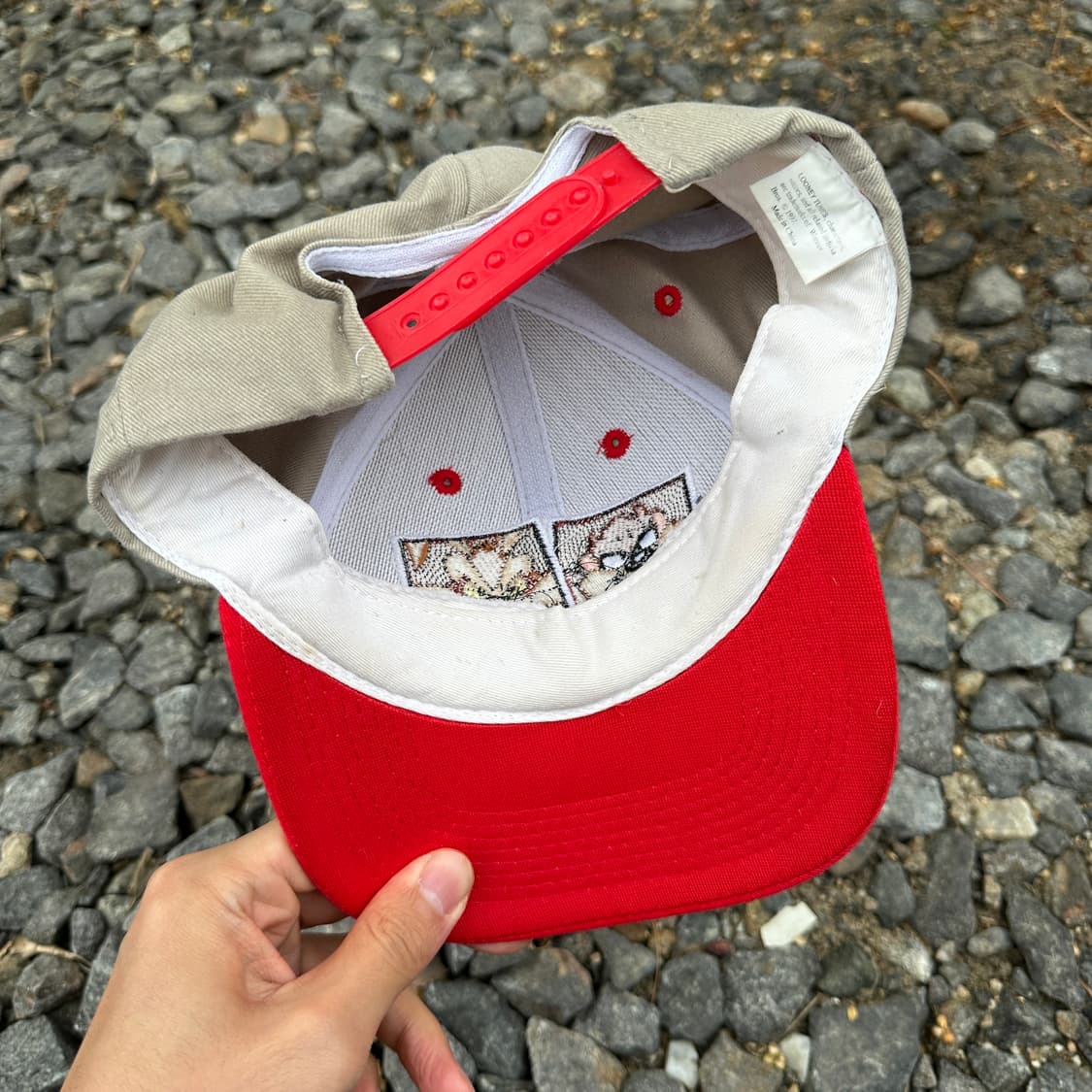97 looney tunes taz&wile e coyote cap 상품이미지5