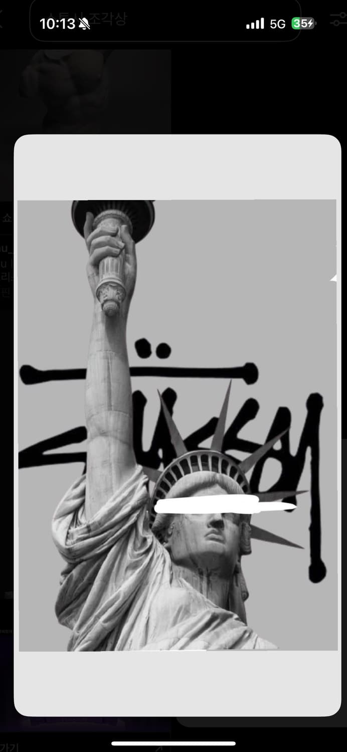 스투시 비너스 그래픽 후드 집업 상품이미지1