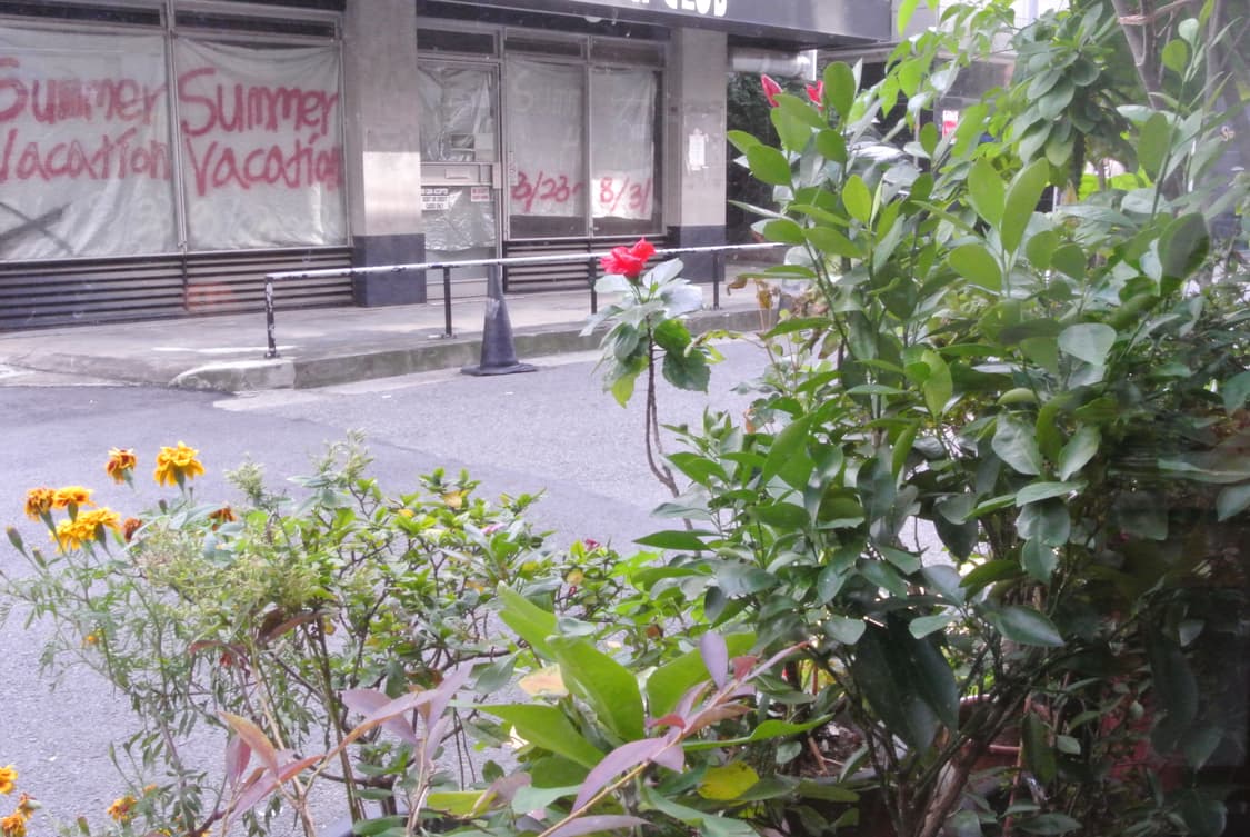 (작례 O) 니콘 1 J1 핑크 디카 풀박스 상품이미지10