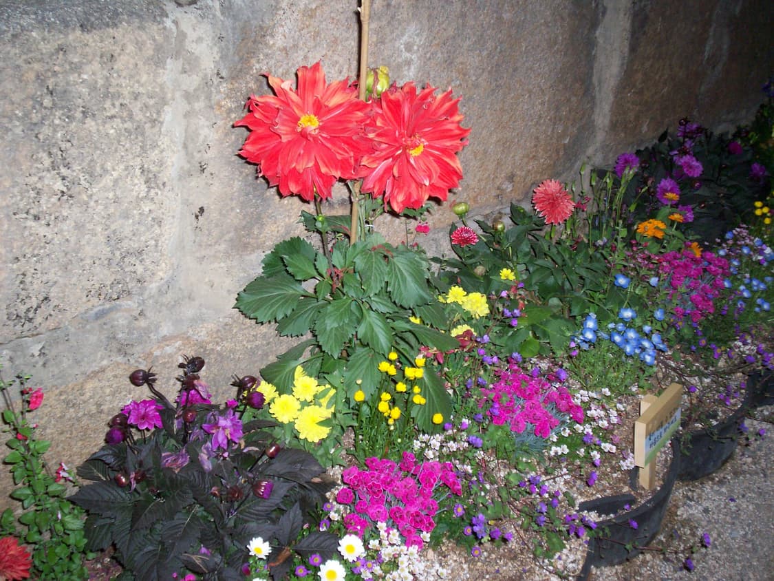 민트급) 코닥 이지쉐어 CD40 빈티지 디카 / 한국어 지원가능 상품이미지9