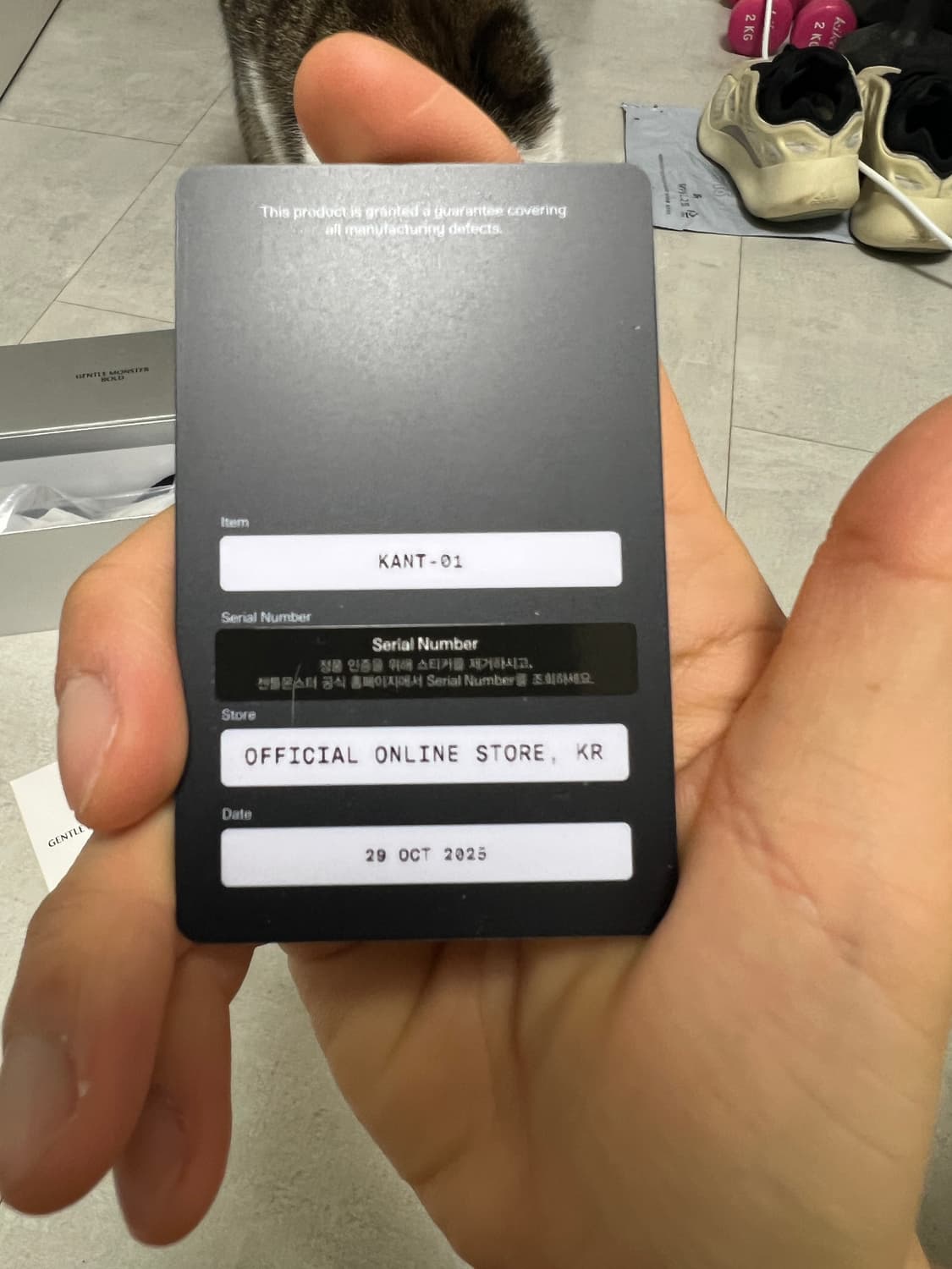 젠틀몬스터 칸트 상품이미지6