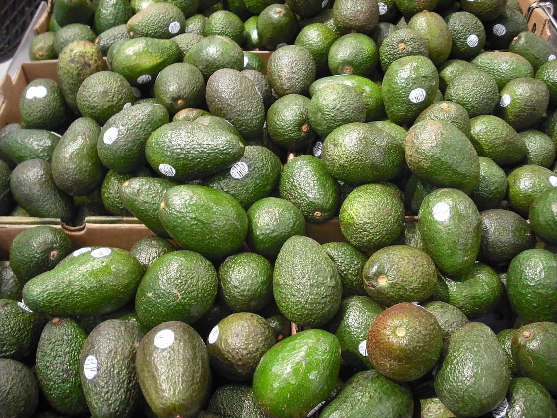 후지필름 파인픽스 J10 상품이미지9