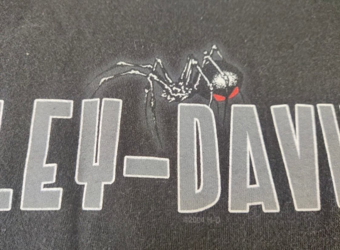 🇺🇸M ) 할리 데이비슨 스파이더 웹 롱슬리브 상품이미지2