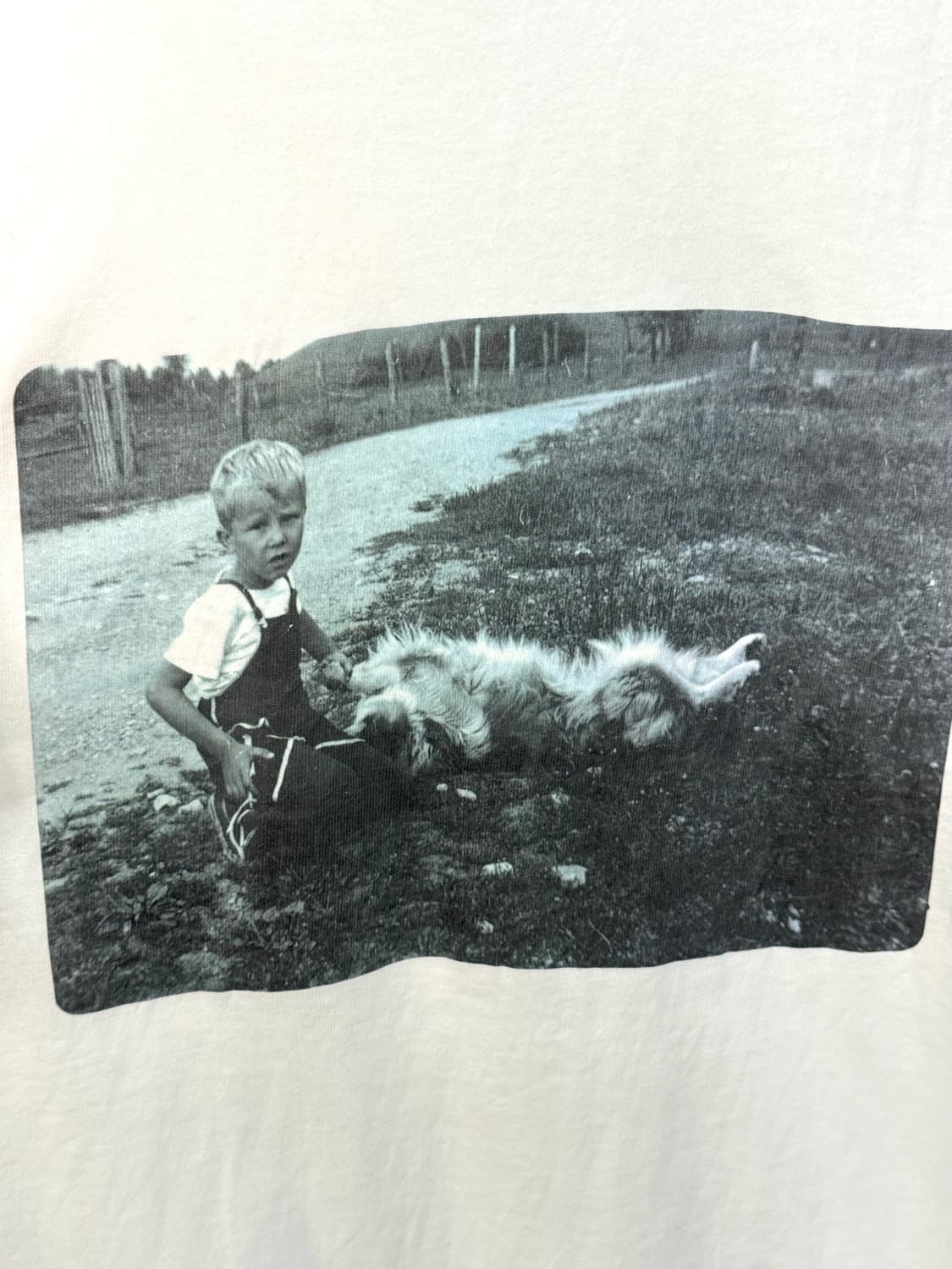 Stafford T-shirt/T65 상품이미지2