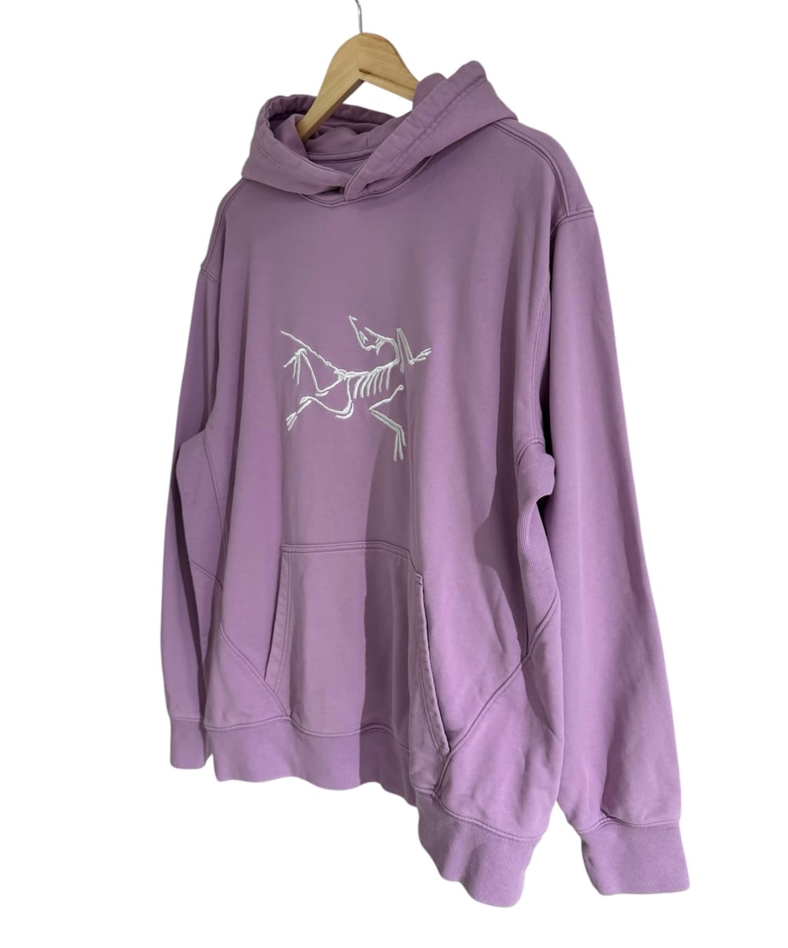 아크테릭스 X 팔라스 후드 헤이즈 상품이미지3