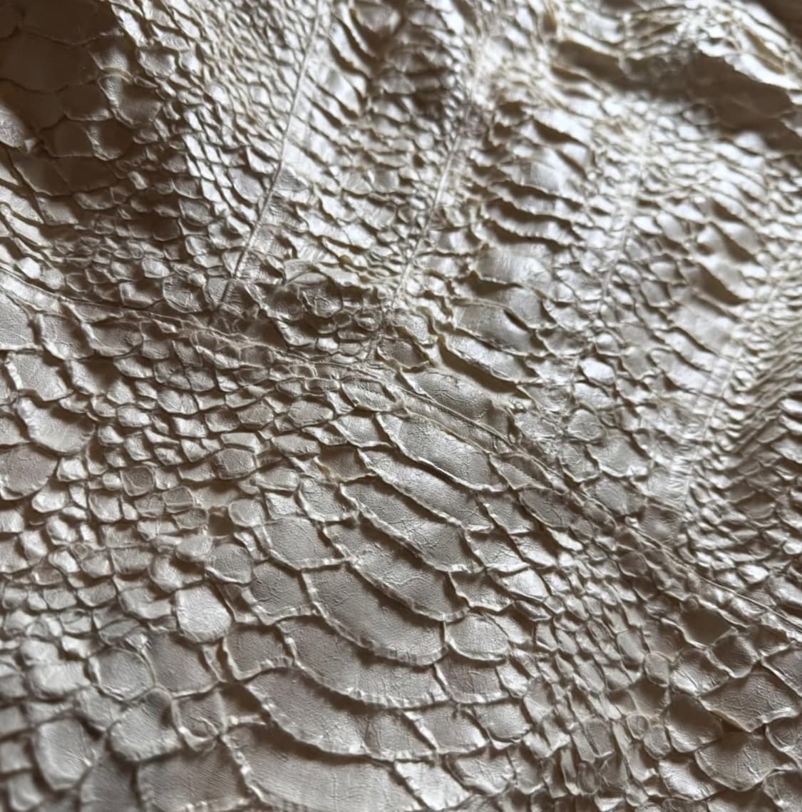 Yasuyuki Ishii 파이톤 하이넥 재킷 상품이미지5