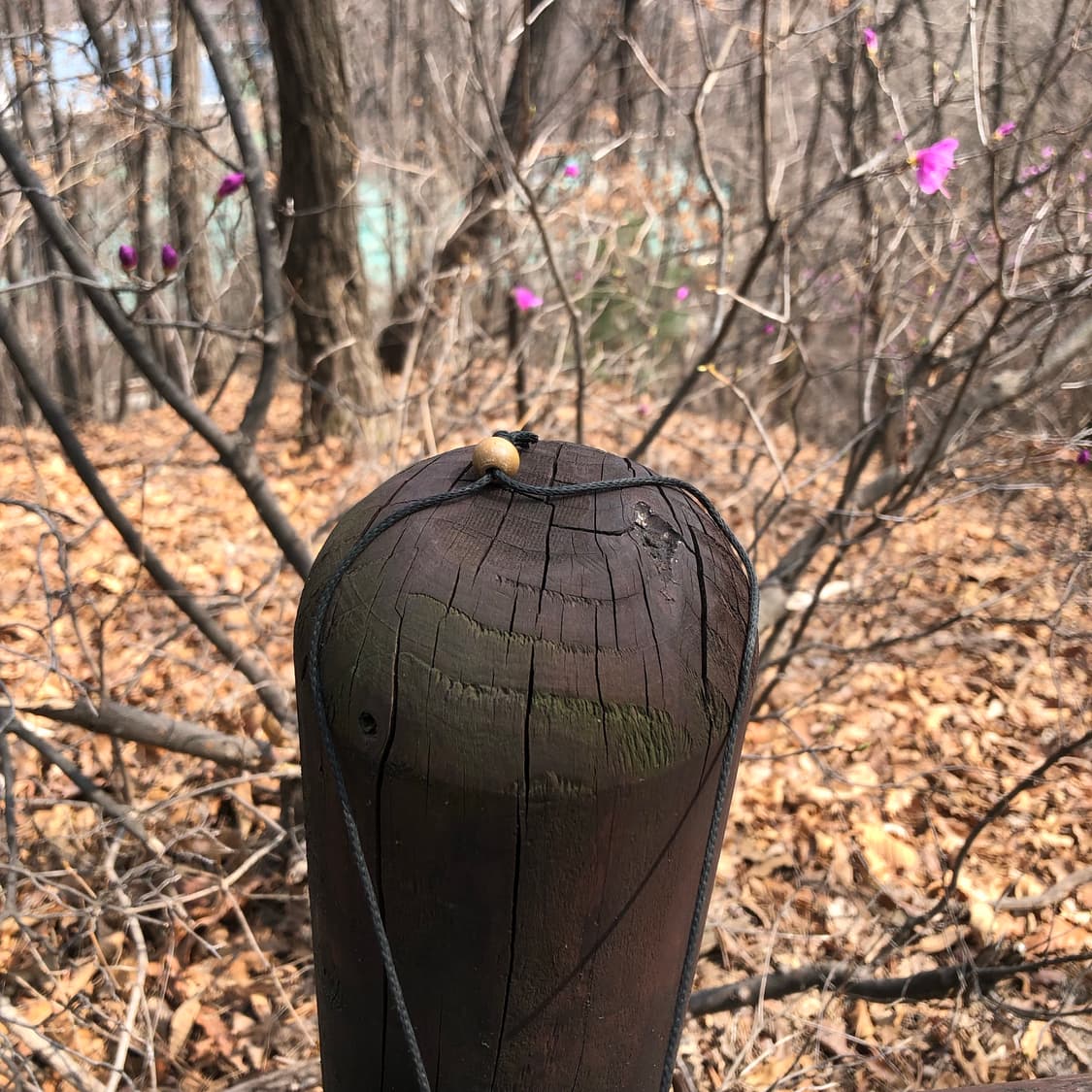 아무것도 아닌 말에 2 🥿  상품이미지4