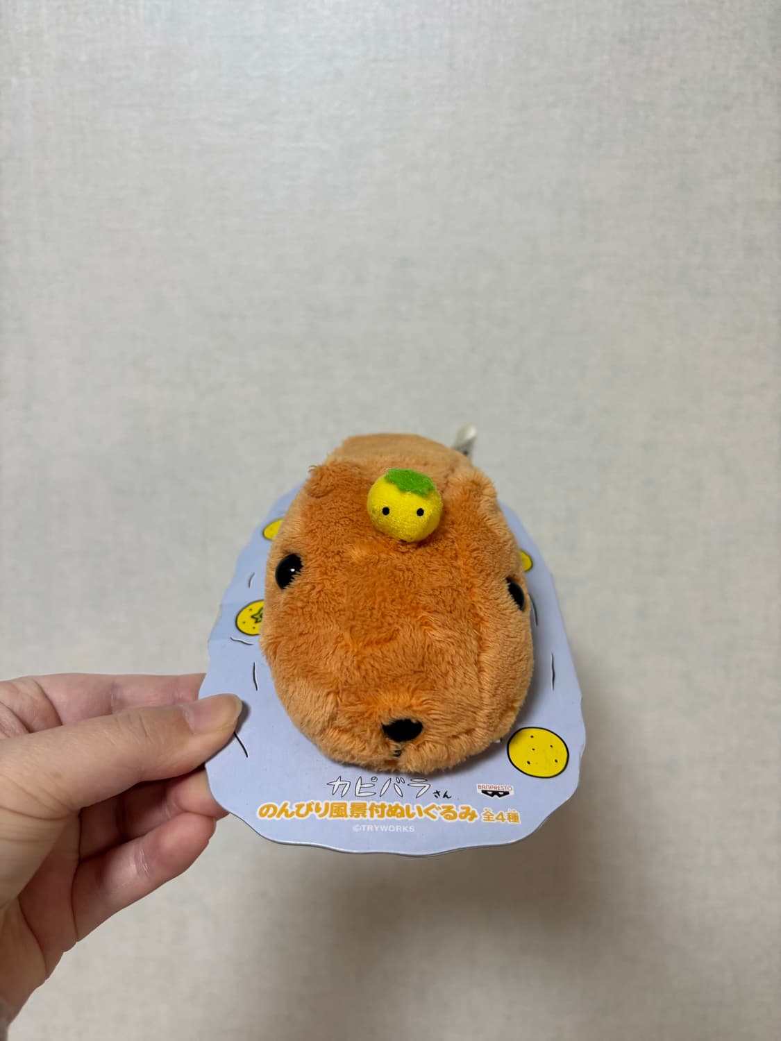 고전 빈티지 유자 카피바라상 인형 상품이미지2