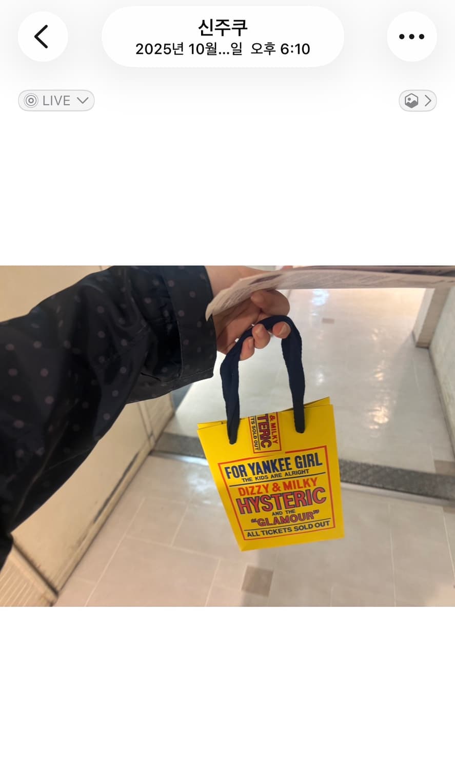 히스테릭 글래머 온스컬 픽 네클리스 피크 목걸이 상품이미지2