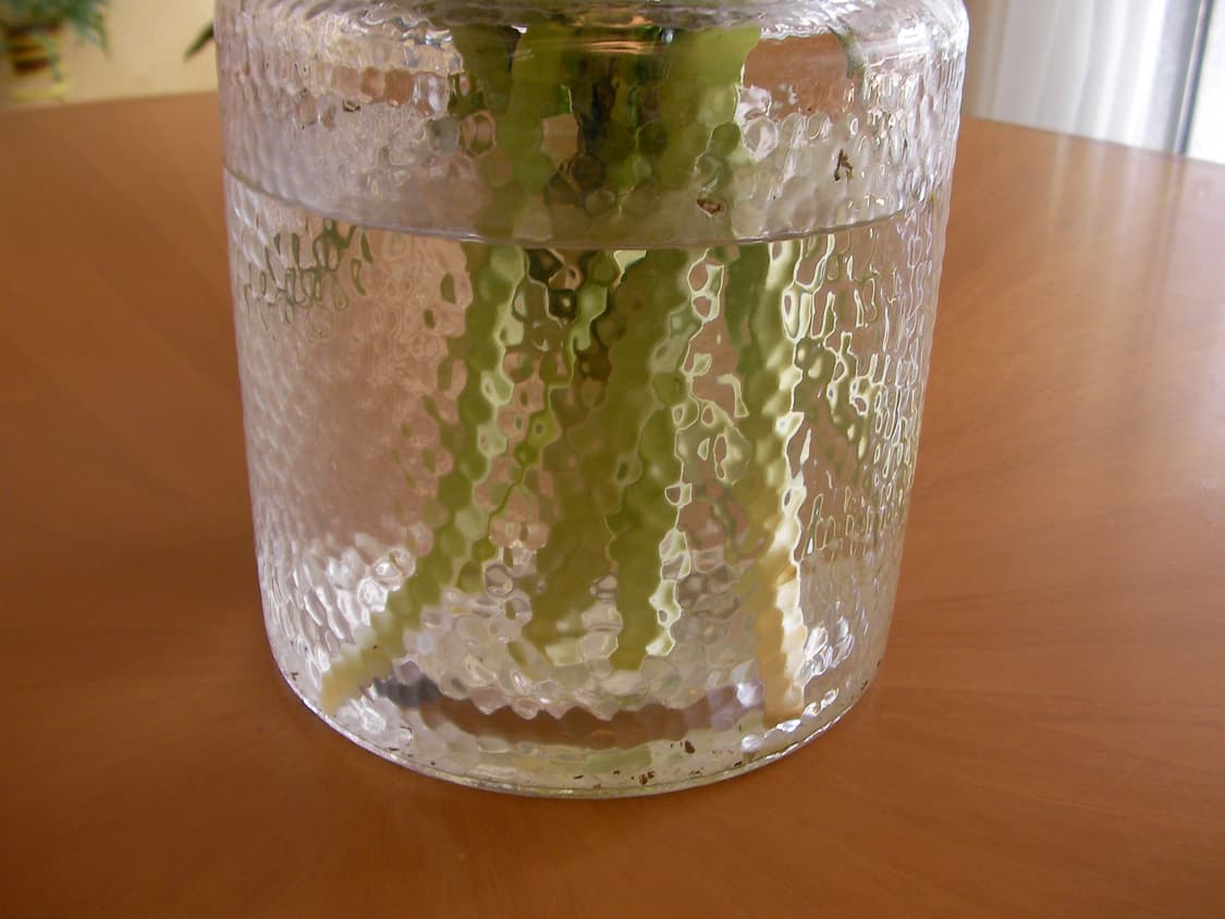 산요 작티 cg6 블루 상품이미지6