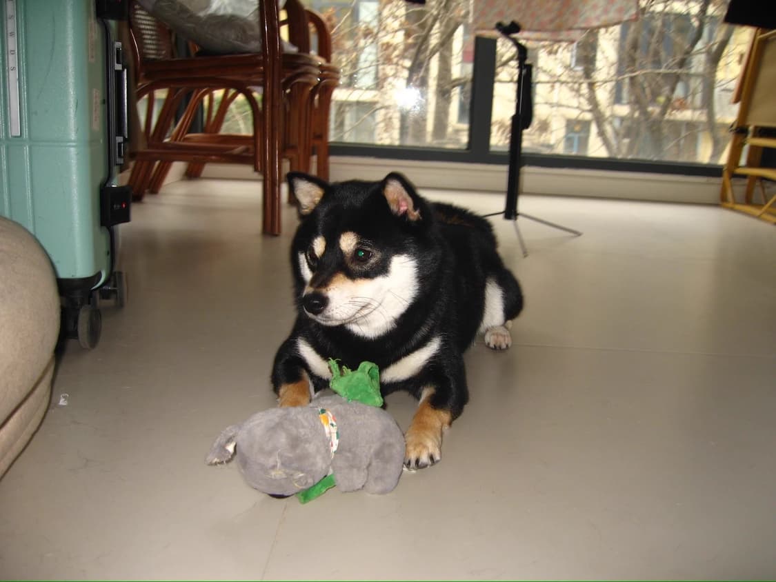 캐논 익서스 750 CANON IXUS 750 빈티지 디지털카메라 디카 상품이미지10