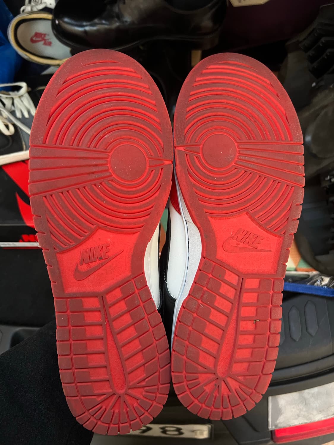 나이키 덩크 로우 NBA 75주년 칠리 레드  290 상품이미지3