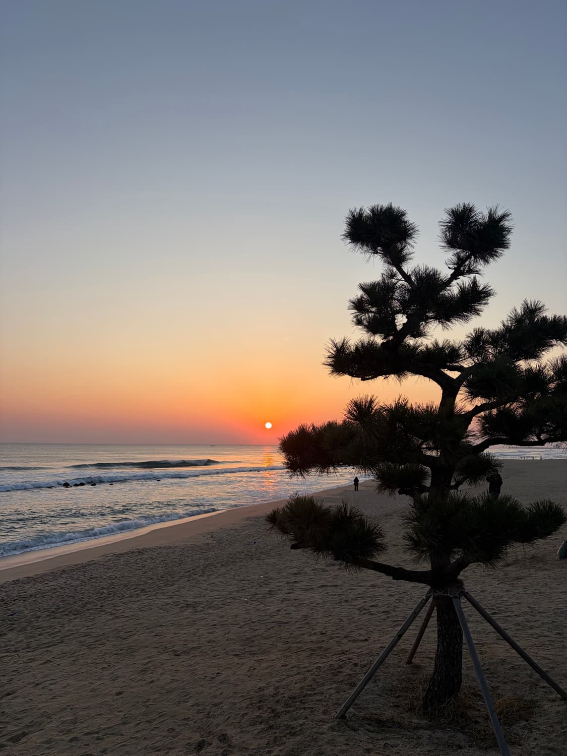 Let's start the day looking at the clear 상품이미지4