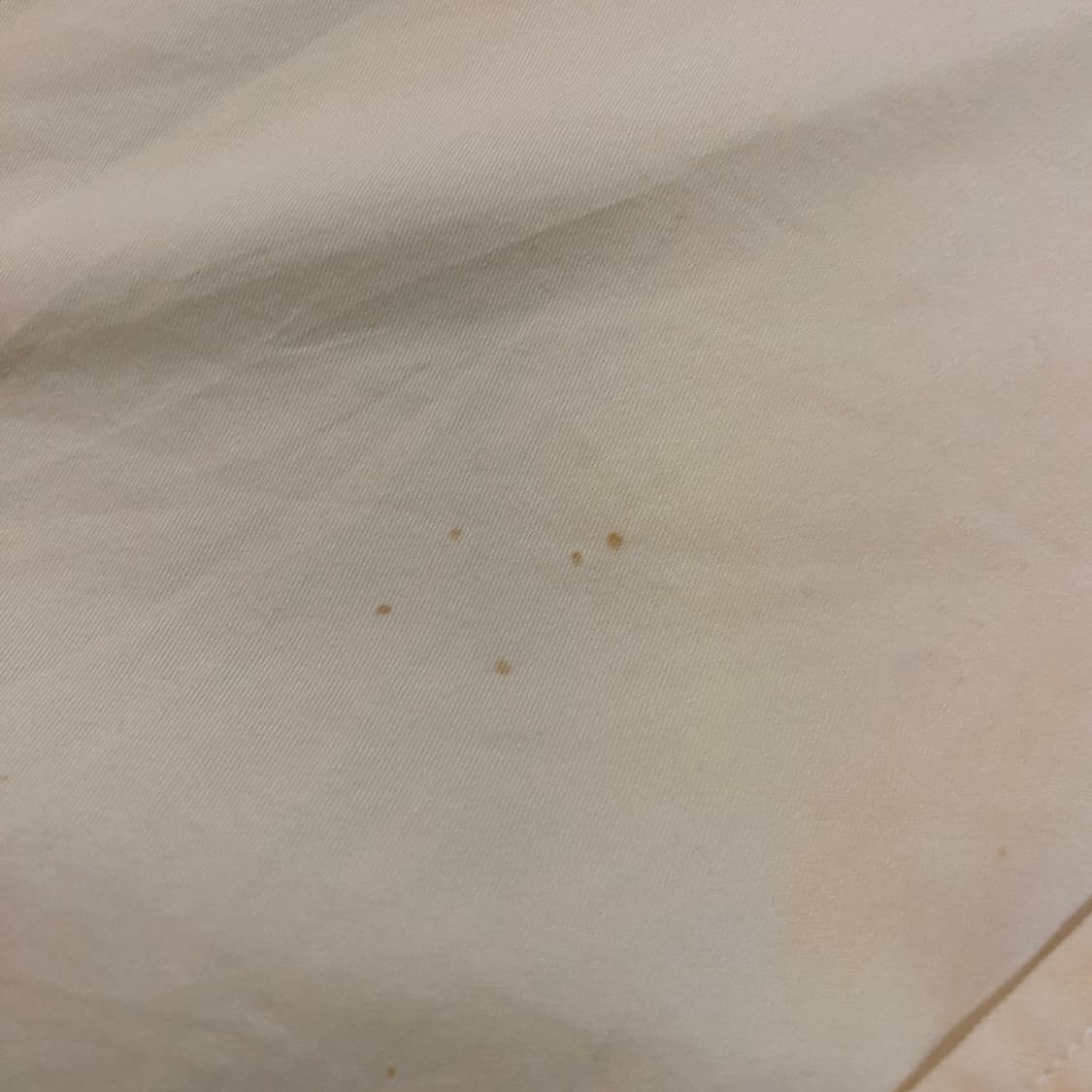 칼하트 반팔 셔츠 상품이미지4