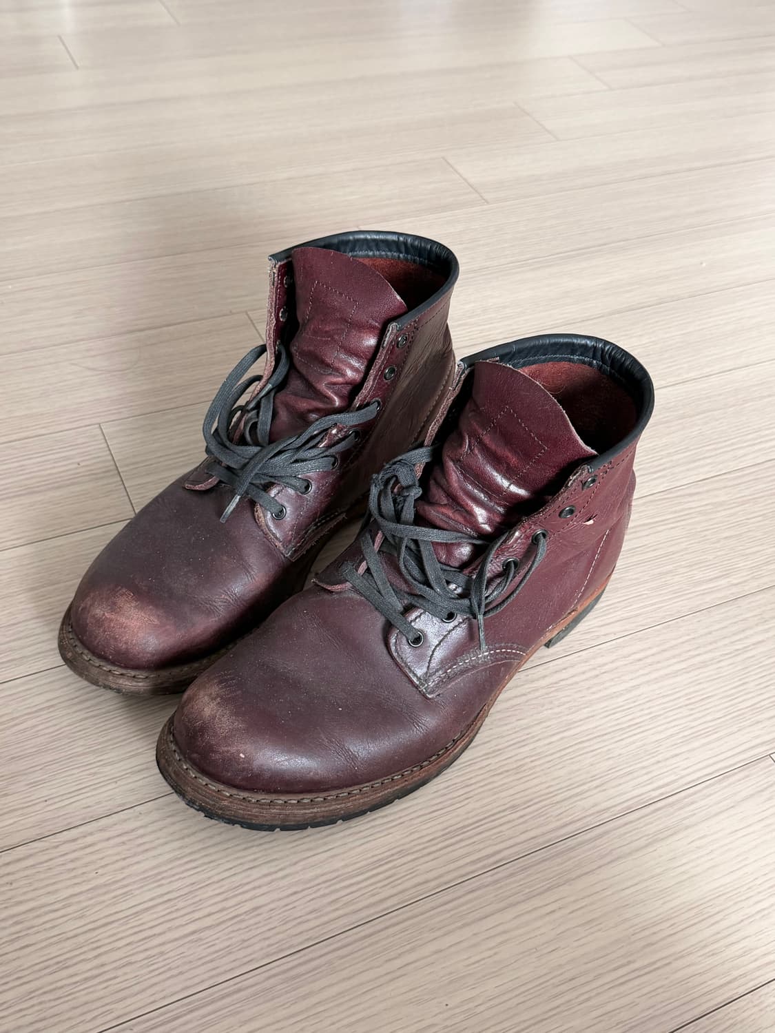 레드윙 판매합니다 상품이미지1