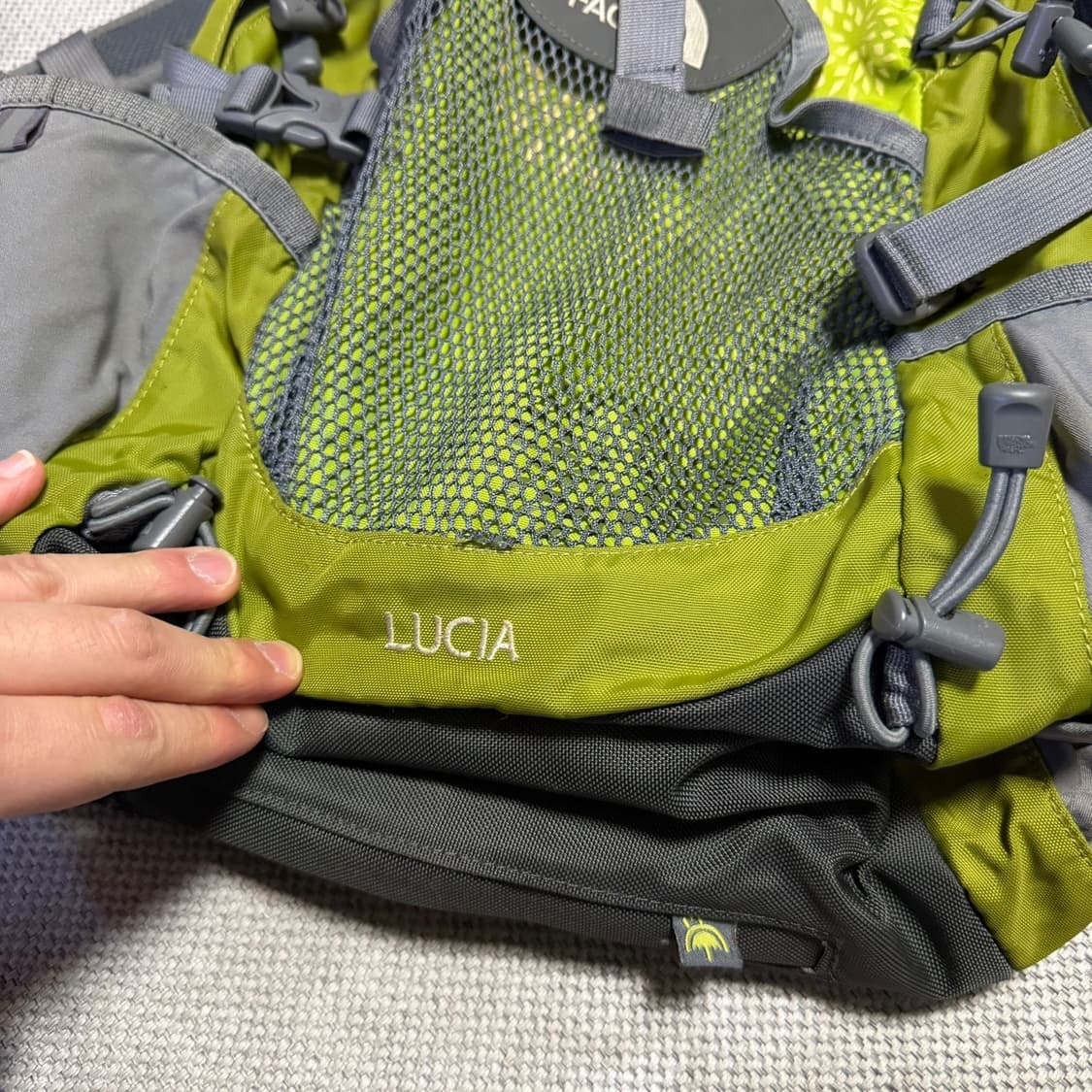 노스페이스 루시아 23L 백팩 상품이미지3