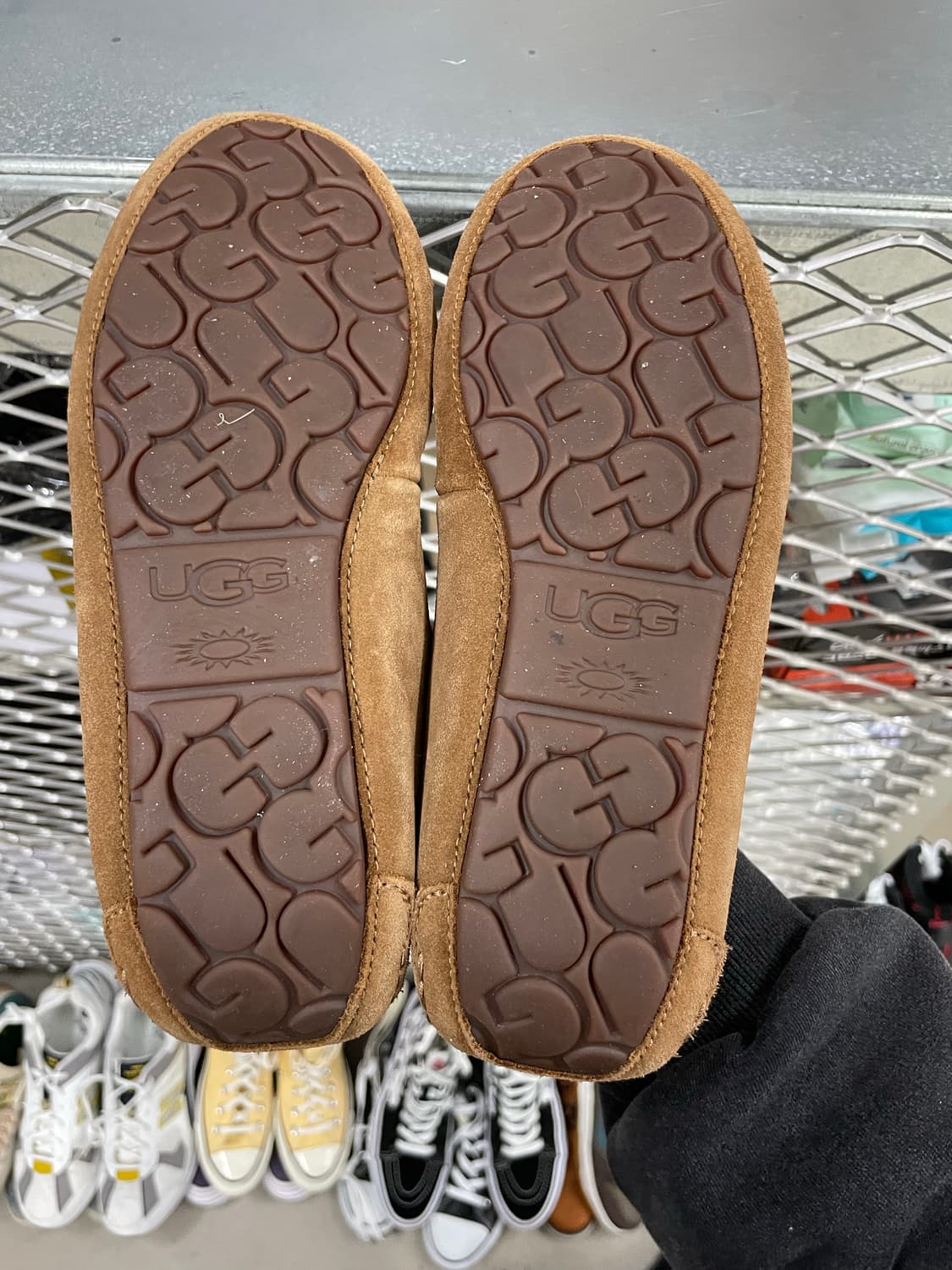 어그 다코타 체스트넛 240 상품이미지6