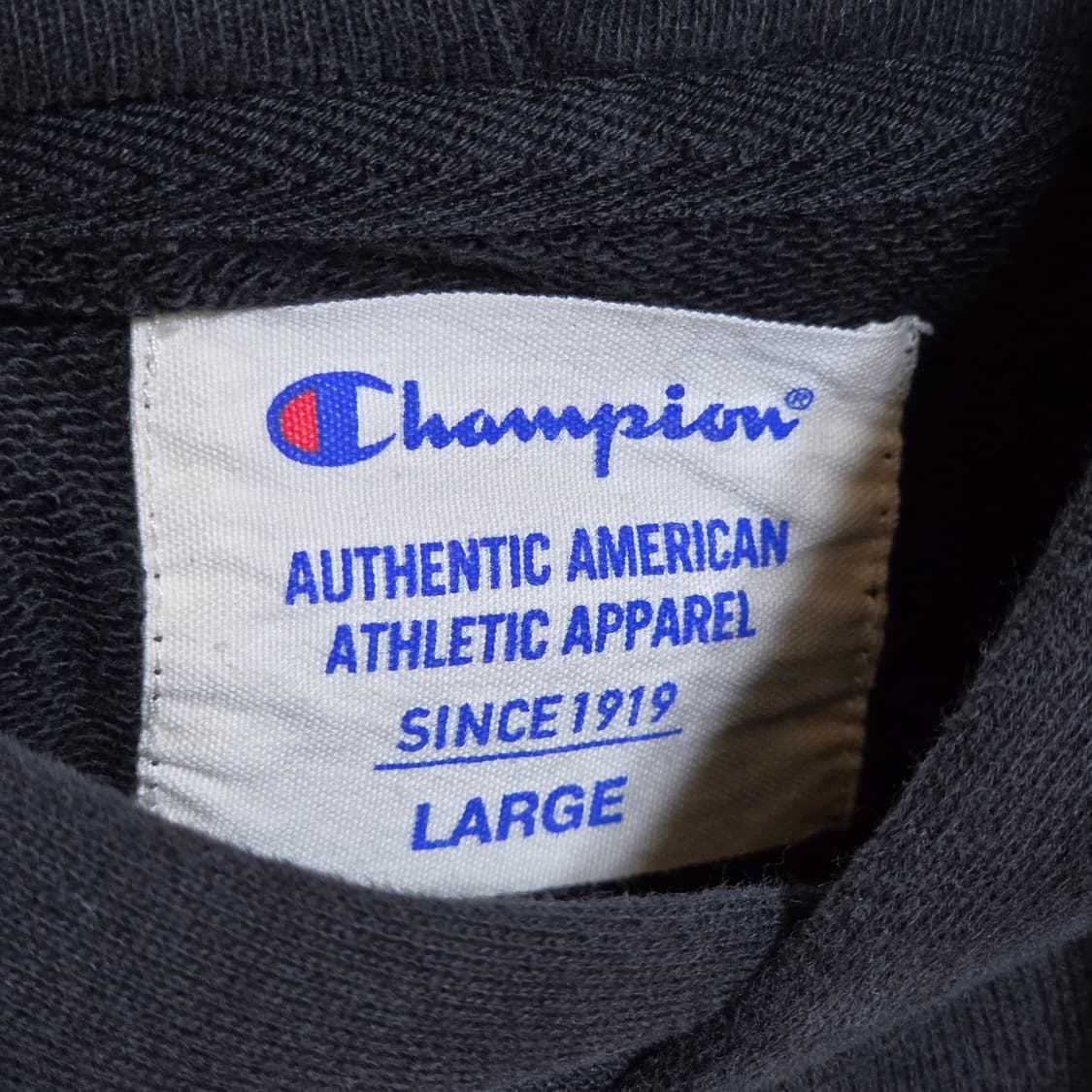 챔피온 그린 레터링 자수 후드티 상품이미지8