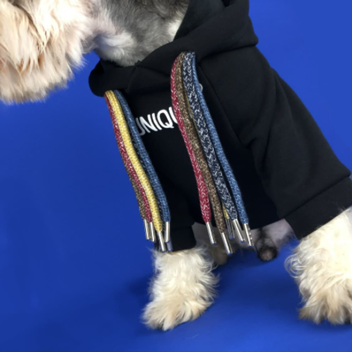 유니크 블랙 강아지 후드티셔츠 상품이미지2