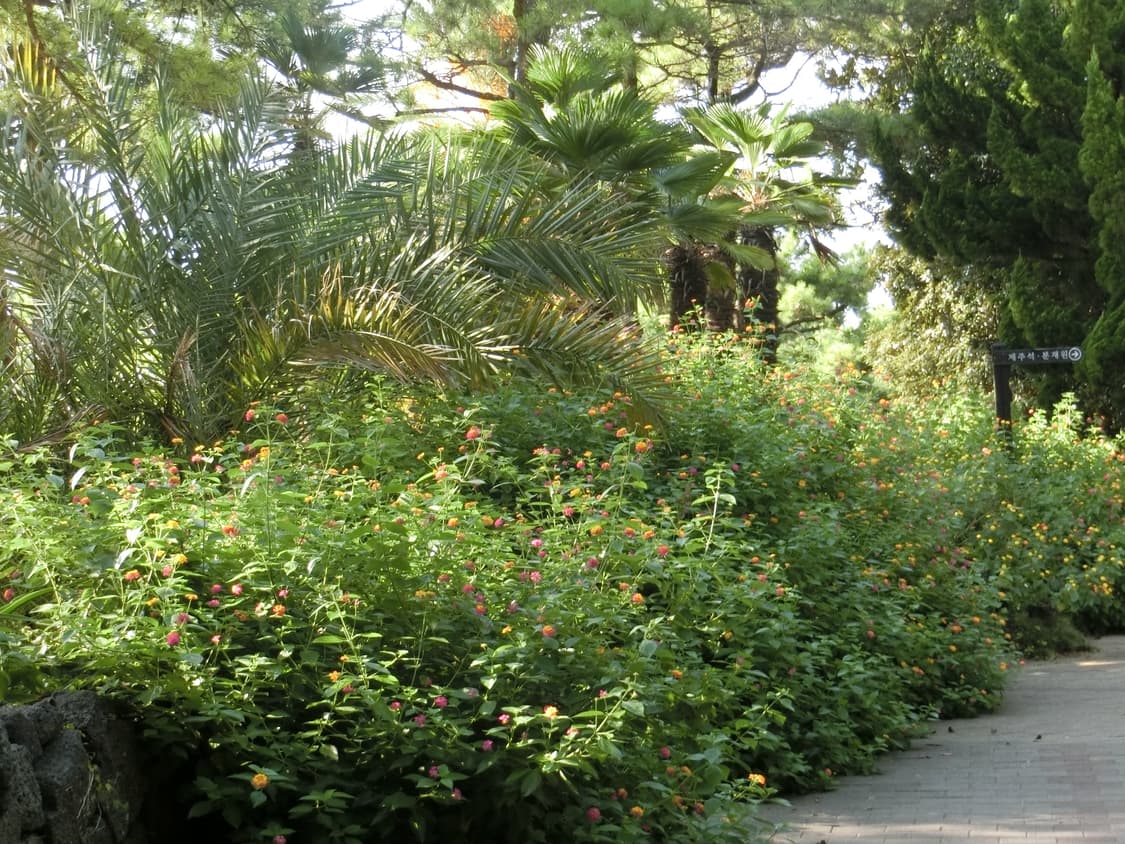 [사고싶은 디카 생겨 급처!!] 디카  casio-z450 핑크 상품이미지8