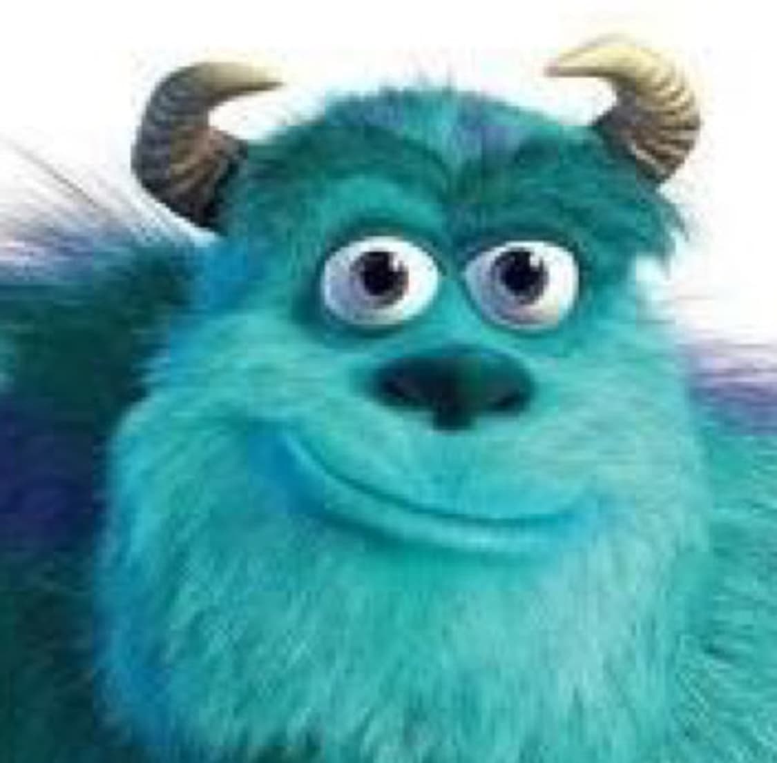 디즈니 설리반 몬스터 후드집업 M 와투케  상품이미지5