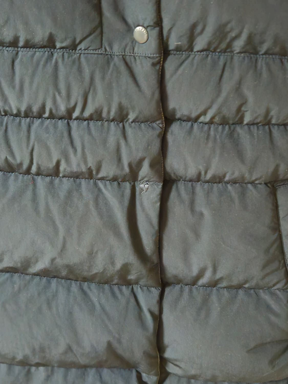 여성 라코스테 덕다운 패딩 네이비 34 상품이미지10