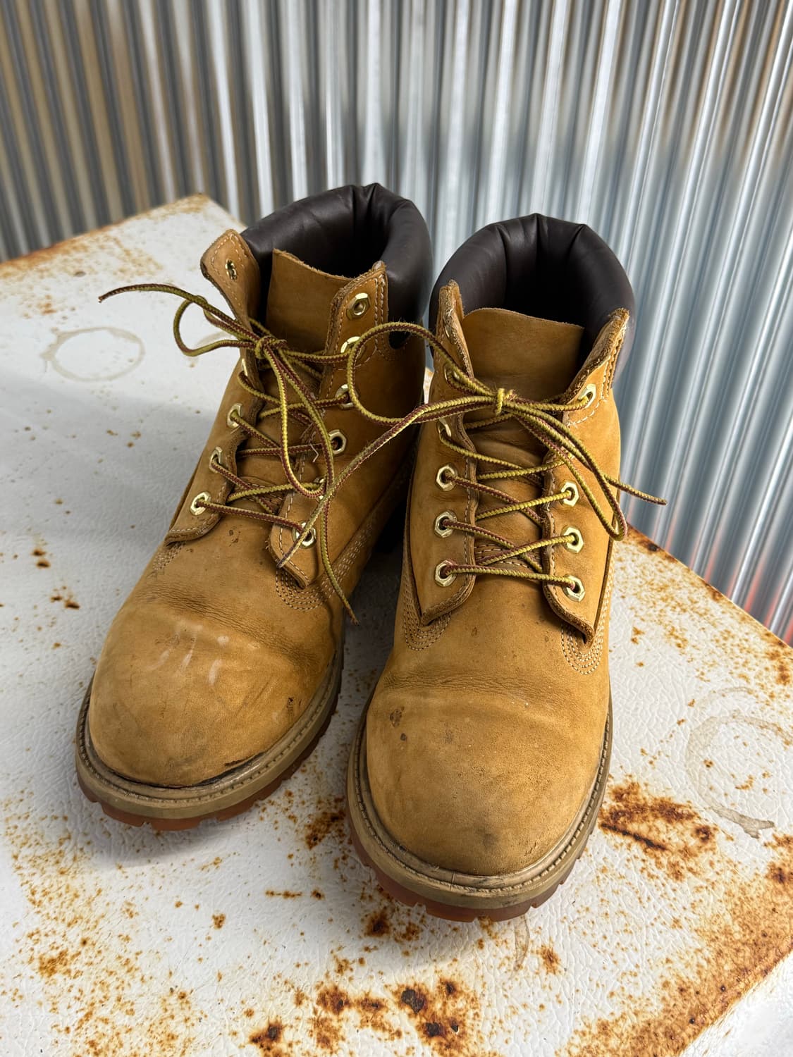 팀버랜드 6인치 프리미엄 워터프루프 위트 누벅 부츠 (230-240) 상품이미지3