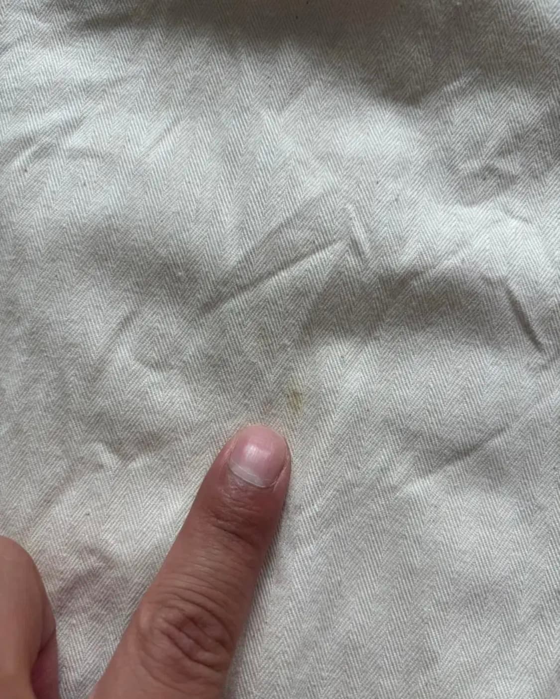 니들스 팬츠 라지사이즈 상품이미지4