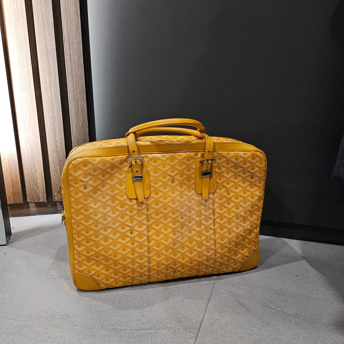 고야드 암바사드 MM 스페셜컬러 토트백 상품이미지5