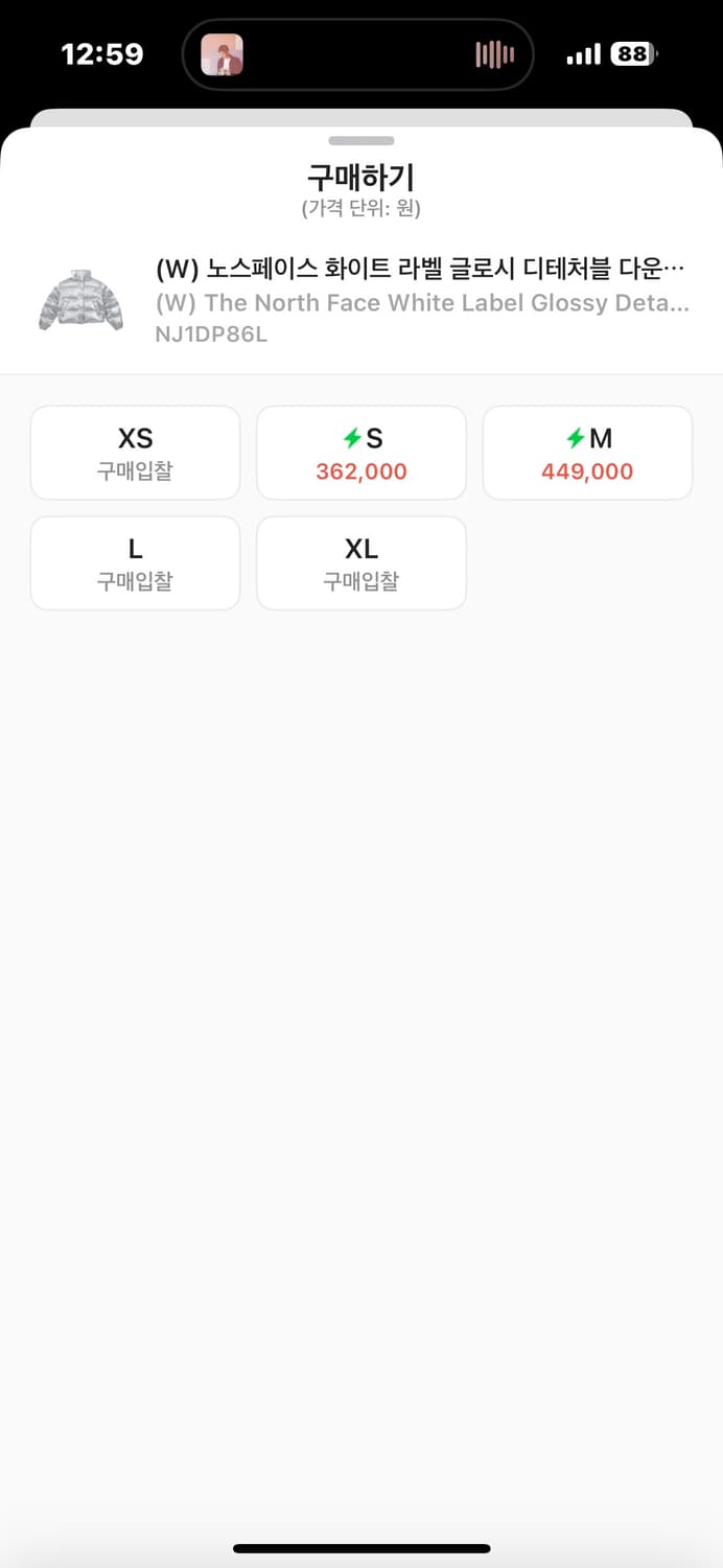 노스페이스 글로시 실버 패딩 상품이미지6