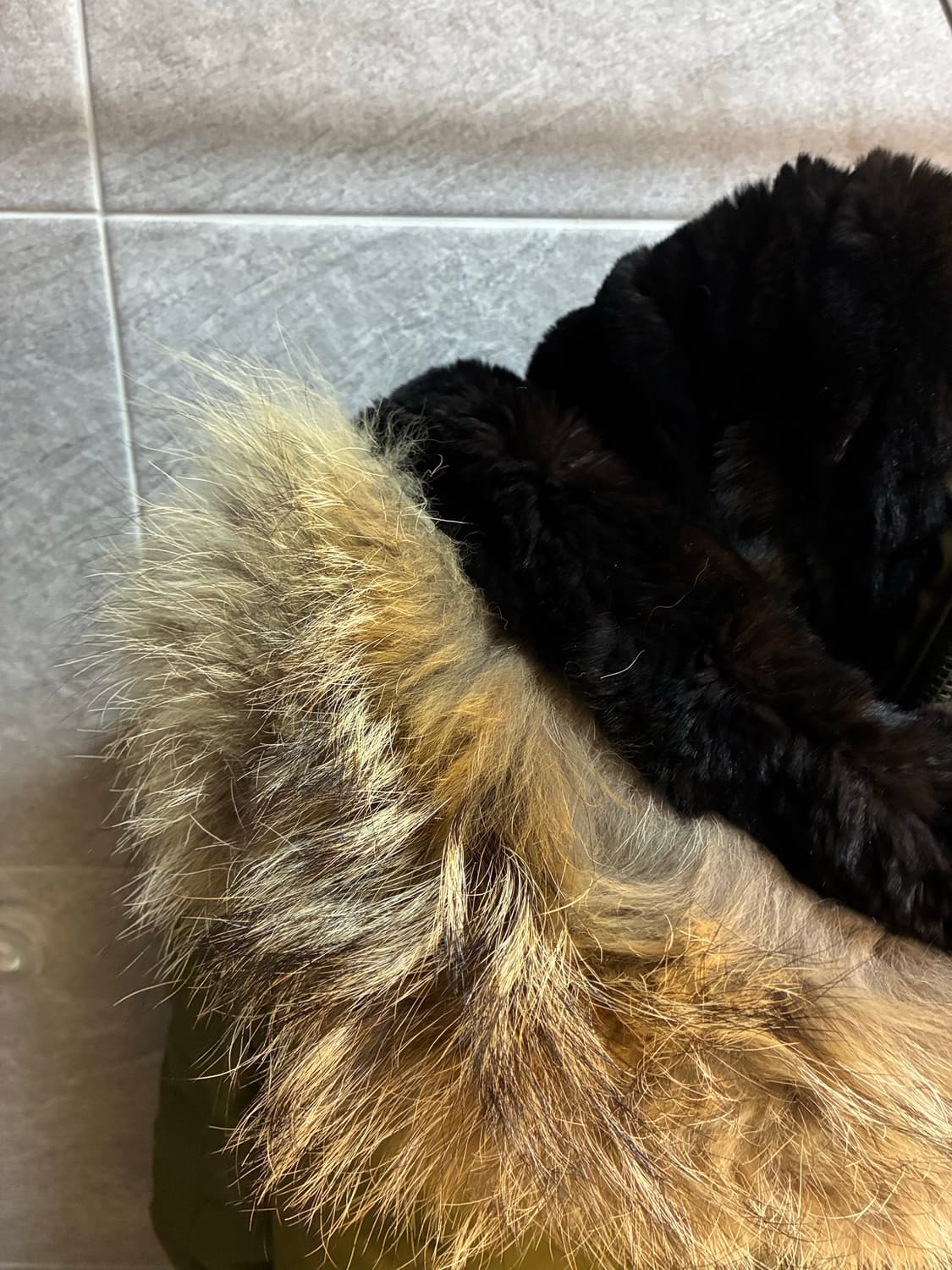 디스퀘어드 패딩 상품이미지6