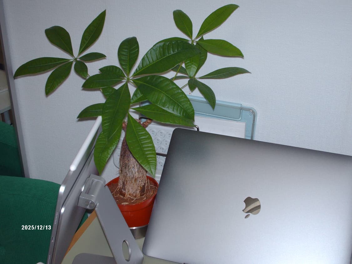 HP 포토스마트 E327 빈티지 디지털카메라 상품이미지8