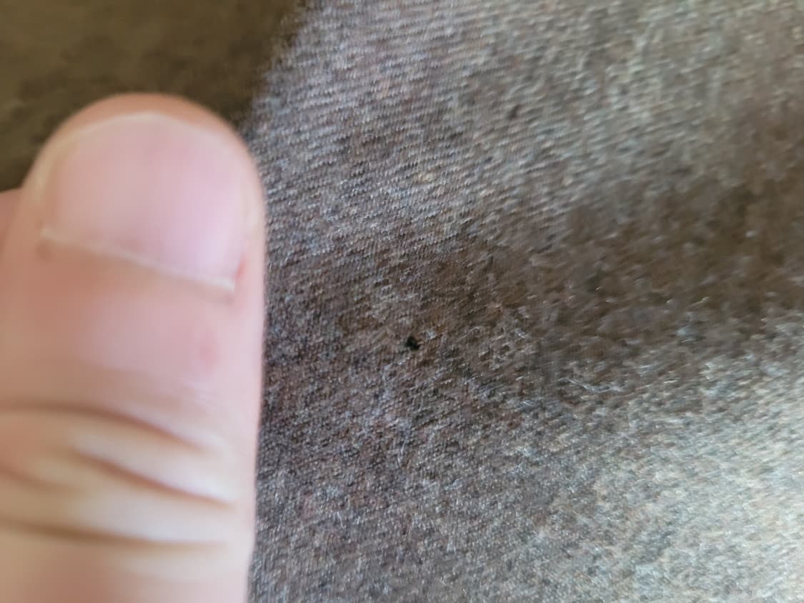 제이프레스 투턱 팬츠 상품이미지6