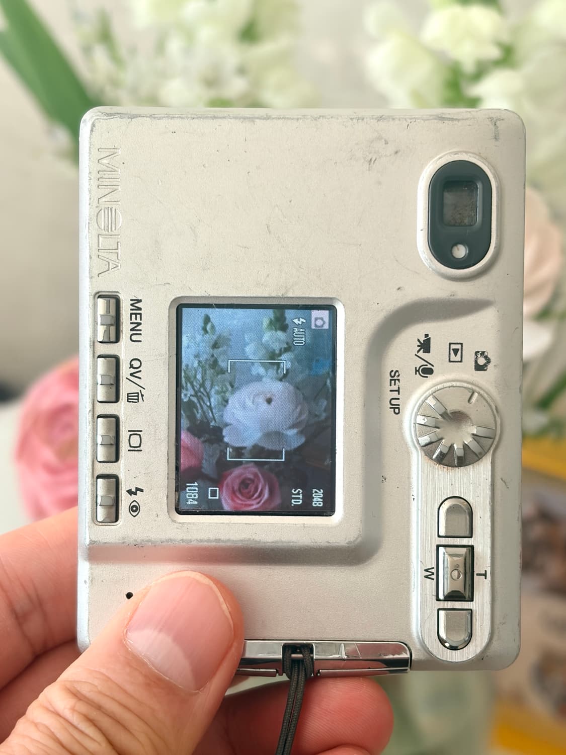 아주 험블한 미놀타 디미지 xt 상품이미지10